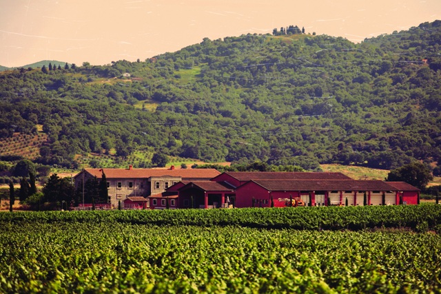 Tenuta fertuna